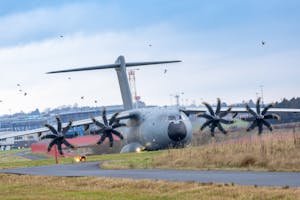 Airport Biologist with Wildlife Services