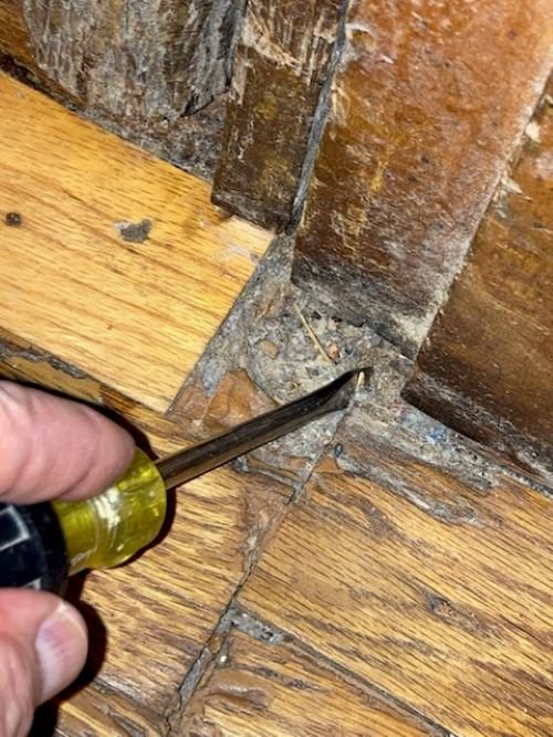 Water Damage to Wood Flooring