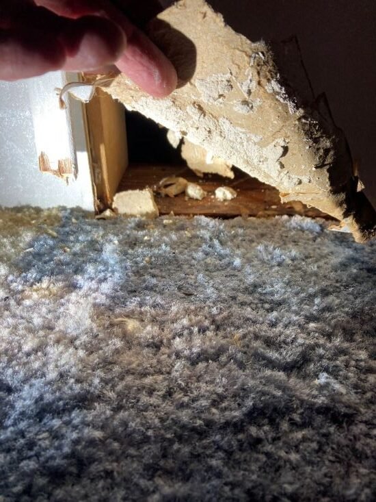 Soggy Drywall from Bathroom Leak